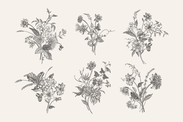 Obraz premium Set of six vintage botanical illustrations. Bouquets with ears of flowers, asters, chrysanthemums, dahlias and berries. Detailed floral compositions in engraving style. Black and white.