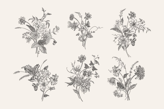 Set of six vintage botanical illustrations. Bouquets with ears of flowers, asters, chrysanthemums, dahlias and berries. Detailed floral compositions in engraving style. Black and white.