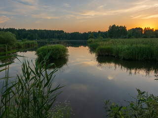 sunrise over the swamp with reed