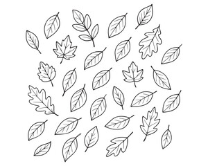 Hand-Drawn Line Art Leaves Collection Hand-Drawn Line Art Leaves Collection &ndash; Botanical Outline Vector Set with Minimal Leaf Illustrations