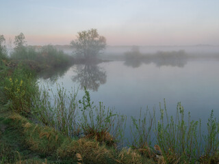 Fototapeta premium misty morning on the river