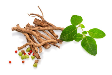 Ashwagandha Dry Root Medicinal Herb with Fresh Leaves, also known as Withania Somnifera. Ashwaganda Indian Ginseng Powder in isolated on white background.