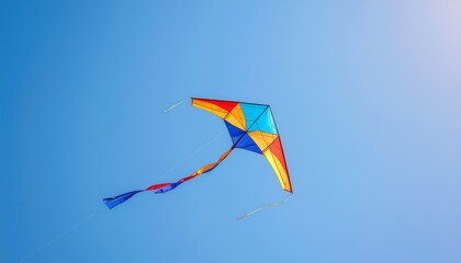 kite in the sky