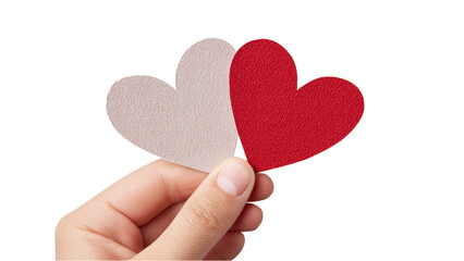 Fototapeta premium Hand Holding Red and White Heart Cutouts on White Background