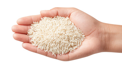Hand Holding Rice: Agriculture, Food, and Abundance Concept on White