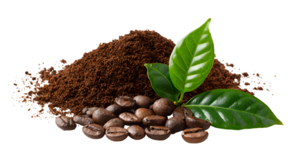 Pile of fresh roasted coffee beans and ground coffee with green leaves isolated on transparent background