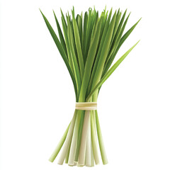 Freshly harvested lemongrass stalks tied together