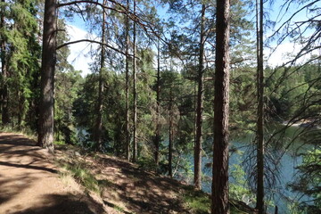 Fototapete bei efototapeten.de bestellen   