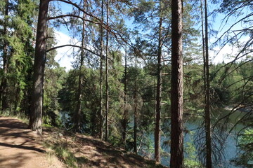 Beautiful trail through a forest along a lake in Tyresö near Stockholm in Sweden