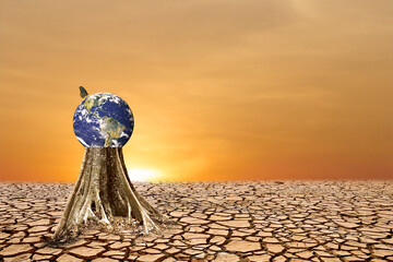 World on the Edge: A compelling image of the earth cradled by a tree trunk in a parched desert...