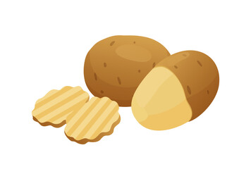 Potatoes vector illustration. isolated on white background.