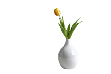 Single yellow tulip in a white vase against a black background flower, Png, Isolated on Transparent Background, Cut Out