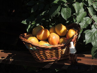 basket of oranges