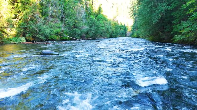 McKenzie River Blue Water Aerial Drone Oregon