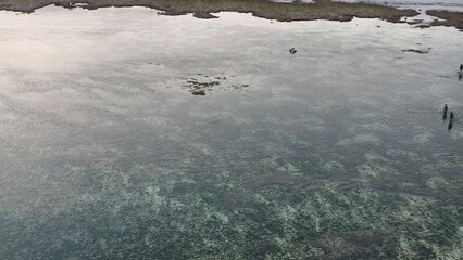 Clear Coastal Shallows with Visible Seabed and Ripples