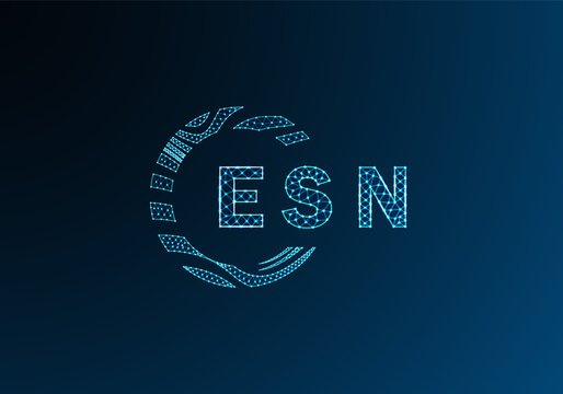 ESN low poly letter logo vector design. ESN lower poly logo design. ESN unique low poly logo design.