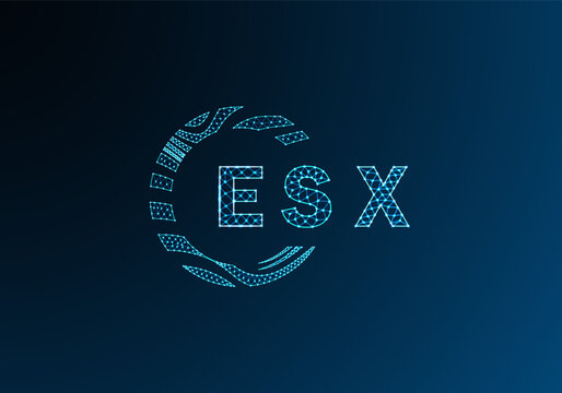 ESX low poly letter logo vector design. ESX lower poly logo design. ESX unique low poly logo design.