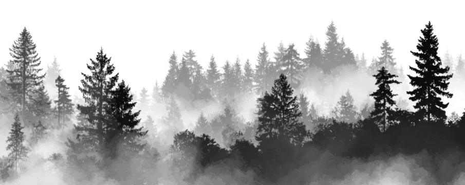 Misty Forest Scene with Tall Coniferous Trees in Monochrome Black and White Style - Powered by Adobe