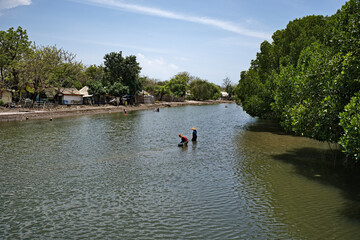 Between mangroves and shore, daily activities