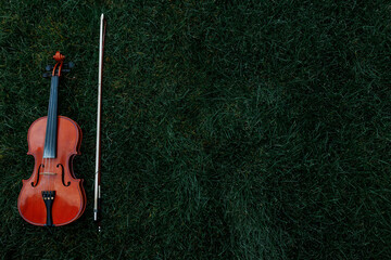 The violin lies on the grass.