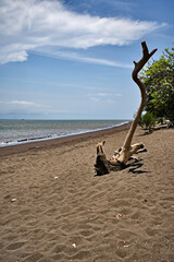 Tropical silence on a Banyuwangi beach