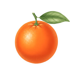 An orange on white background