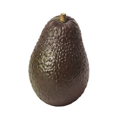 Avocado on a white background