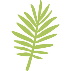 Stylized Green Palm Frond Leaf with Simple Hand Drawn Botanical Illustration on Transparent Background