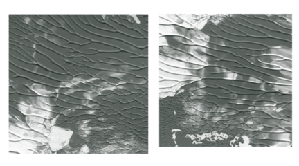 Abstract dark green background with subtle organic lines and distressed pattern