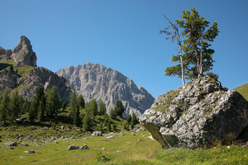 Berglandschaft mit Wanderweg in den Dolomiten, Italien, Europa 