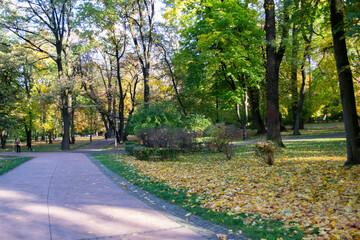 park in autumn