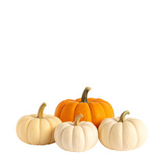 Obraz premium Autumn's Bounty: A vibrant arrangement of various pumpkins, each boasting unique shapes and colors, symbolizes the abundance of the autumn harvest.