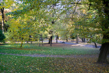 autumn park in the park