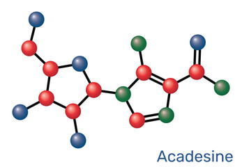 Acadesine, AICA-riboside, AICAR purine nucleoside analog and AMPK activator. Molecular model. Vector Illustration