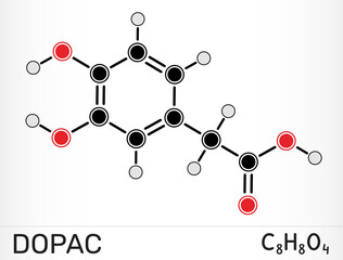 DOPAC molecule 3,4-dihydroxyphenylacetic acid. Dopamine metabolite and catechol compound. Vector illustration
