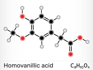 Homovanillic acid, HVA molecule. Dopamine metabolite and catechol compound. Vector illustration