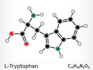 L-Tryptophan molecule. Essential amino acid and serotonin precursor. Vector illustration