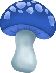 mushroom isolated on white background