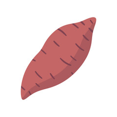 Vector illustration of whole sweet potato root vegetable