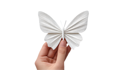 Hand Holding Paper Butterfly, Origami Craft, White Background