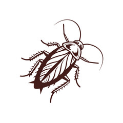 Vector of Cockroach On White Background isolated 