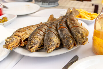Absheron Peninsula. Plate with three pike-perch fish served in a fishing restaurant.