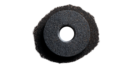 Circular object covered in tiny dark seeds and scattered particles