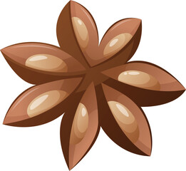Star anise, a star shaped spice isolated on white background