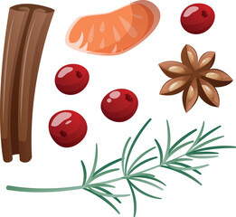 set of aromatic cooking spices: cinnamon, star anise, cranberry, rosemary, lemon, and orange.