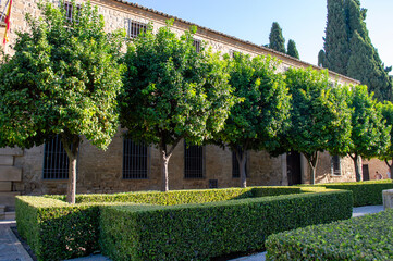 Naranjos en la Plaza V&aacute;zquez de Molina de &Uacute;beda