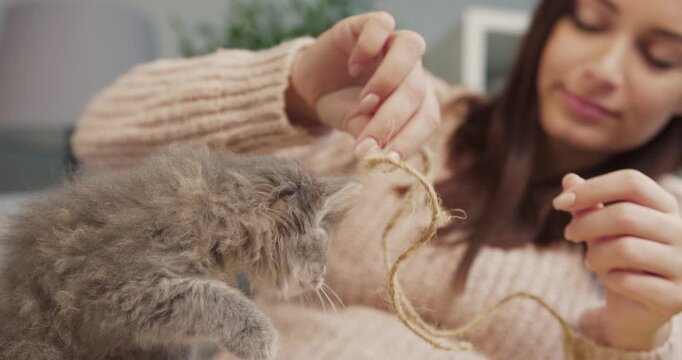 Very close camera view of small kitten playing with Caucasian girl. Woman holding long wire to distract kat. Playing with pet. Recreation at home with charming animal. Showing claws.