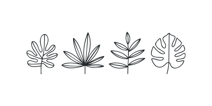 Four distinct botanical line drawings on white background