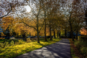 autumn in the park