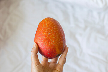 red apple mango in hand